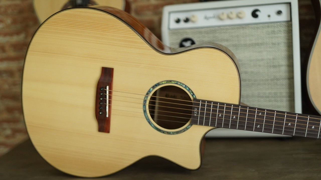Acoustic Guitar