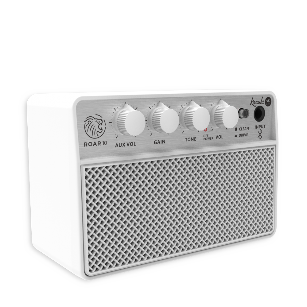 KAZUKI ROAR 10 GUITAR AMPLIFIER