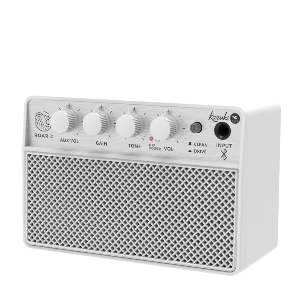 KAZUKI ROAR 10 GUITAR AMPLIFIER