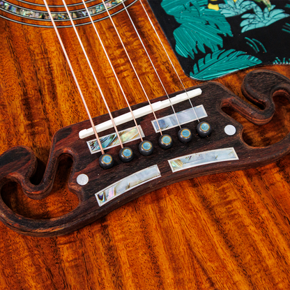 KAZUKI The Jungle Tiger Master Collection