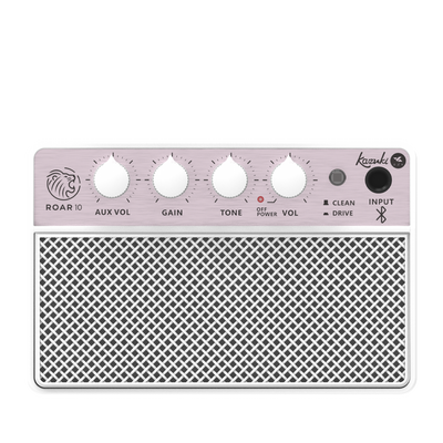 KAZUKI ROAR 10 GUITAR AMPLIFIER