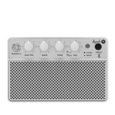 KAZUKI ROAR 10 GUITAR AMPLIFIER