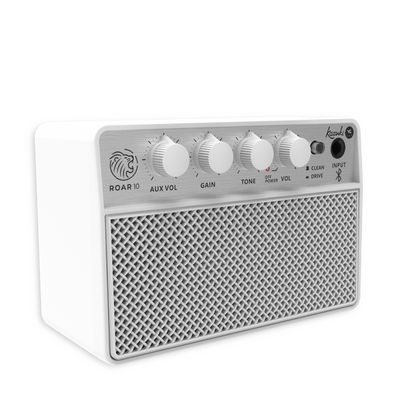 KAZUKI ROAR 10 GUITAR AMPLIFIER