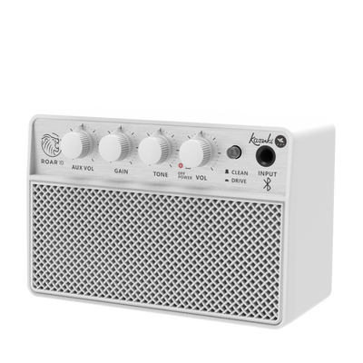 KAZUKI ROAR 10 GUITAR AMPLIFIER