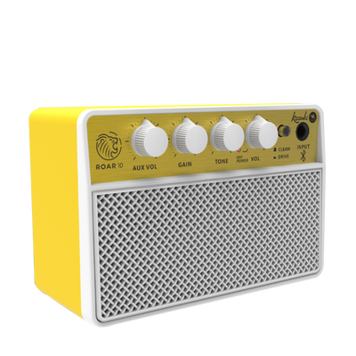 KAZUKI ROAR 10 GUITAR AMPLIFIER